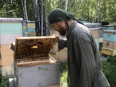 В гостях у мэра пчелиного города