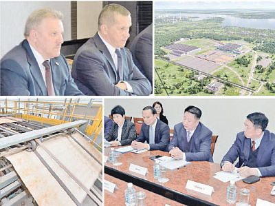 Китайские инвесторы хотят построить в Амурске целлюлозный завод