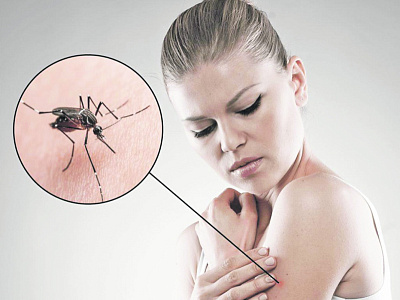 Чем опасны укусы комара