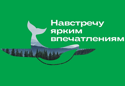 Символы Хабаровского края - кит и самолёт