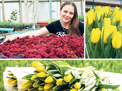 Жёлтые тюльпаны - вестники женского праздника