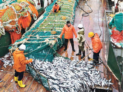 Дальневосточные рыбаки ставят рекорды