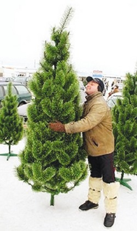 Идём покупать ёлку