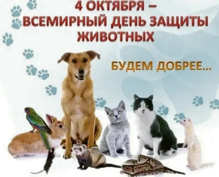 4 октября – Всемирный день защиты животных