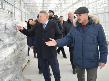 Авангардные овощи попробуем в феврале