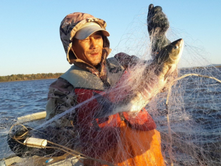 Чистый воздух и много рыбы - залог «зелёного будущего» 