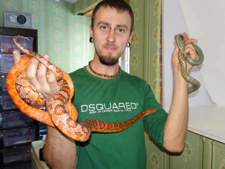 Хотите змею в крапинку? Пожалуйста!