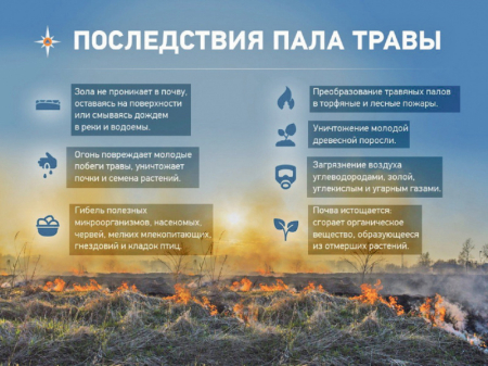 Дыма ещё нет, но пожоги уже начались