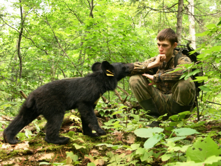 Медведи в городе. Что делать?
