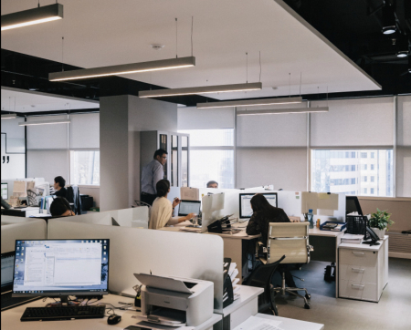 Аренда участков для ведения бизнеса в СПб