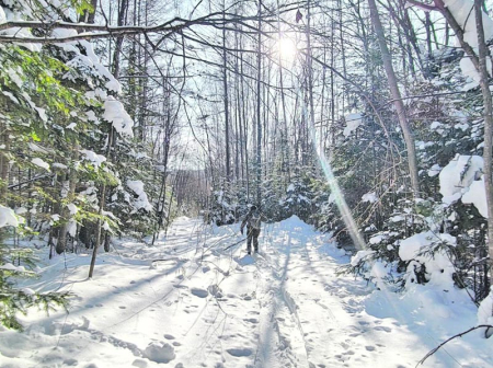 Тигриные следы и отпечатки копыт косули