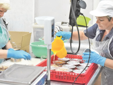 «ДВ-Ареал» готовится к разделке 