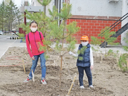 «Сады памяти» зазеленеют по всему краю