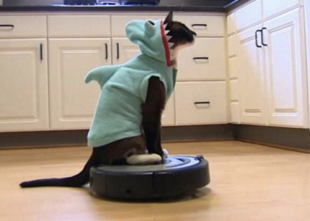 Пылесосы - разнообразие выбора