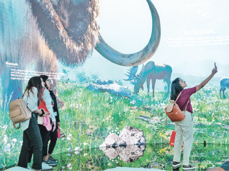 Никита Зимов: «Россия может продвигать проекты Nature-Based Solutions»