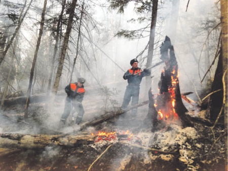 Амурские спасатели тушат Приморье