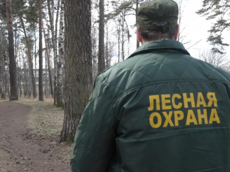 Пожары удалось потушить вовремя