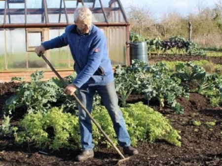 Дачникам  Хабаровского края нужно поспешить, чтобы успеть оформить дома по «дачной амнистии»